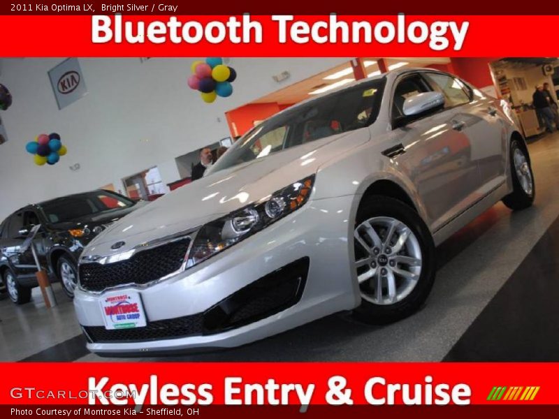 Bright Silver / Gray 2011 Kia Optima LX
