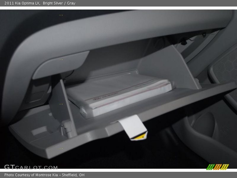 Bright Silver / Gray 2011 Kia Optima LX
