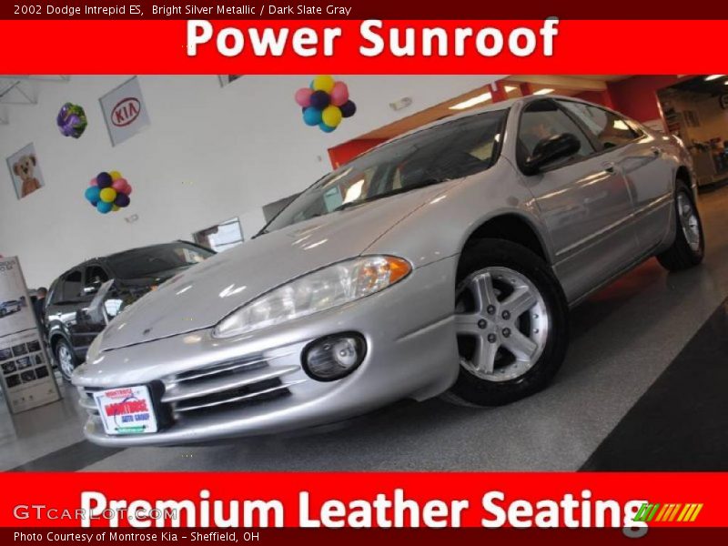 Bright Silver Metallic / Dark Slate Gray 2002 Dodge Intrepid ES