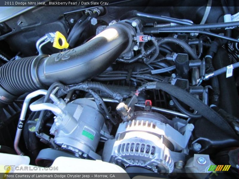 Blackberry Pearl / Dark Slate Gray 2011 Dodge Nitro Heat