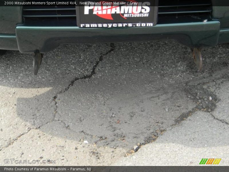 New Zealand Green Metallic / Gray 2000 Mitsubishi Montero Sport Limited 4x4