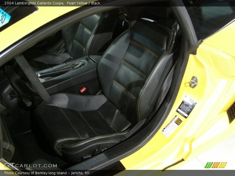 Pearl Yellow / Black 2004 Lamborghini Gallardo Coupe