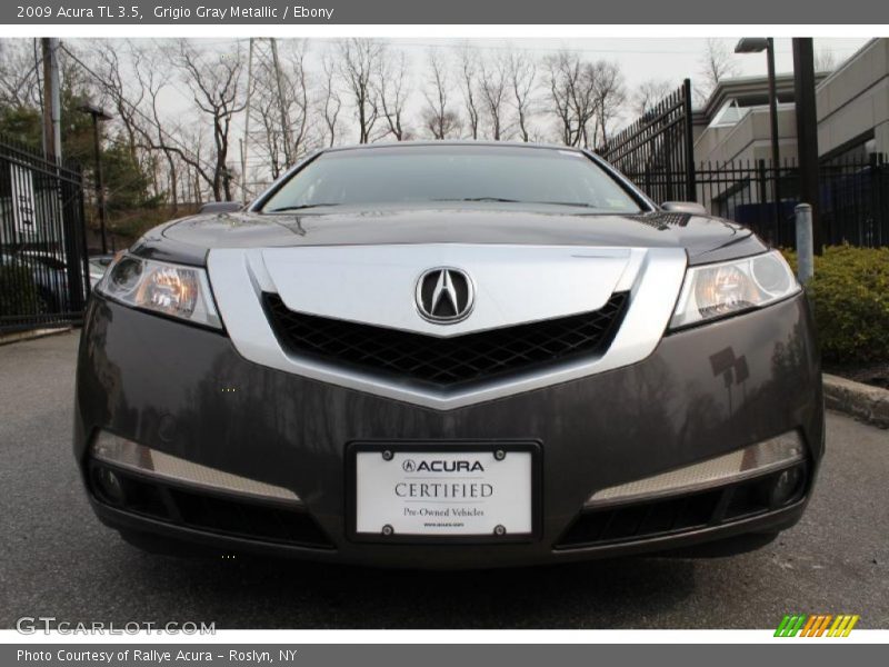 Grigio Gray Metallic / Ebony 2009 Acura TL 3.5
