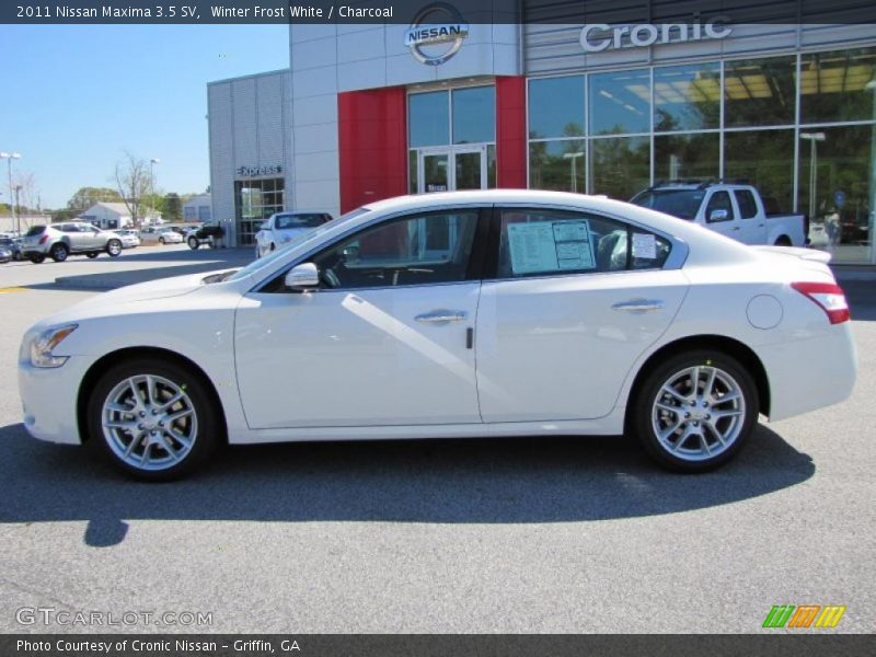 Winter Frost White / Charcoal 2011 Nissan Maxima 3.5 SV