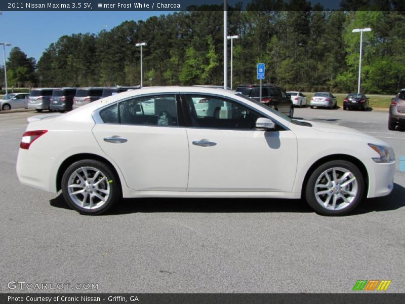 Winter Frost White / Charcoal 2011 Nissan Maxima 3.5 SV