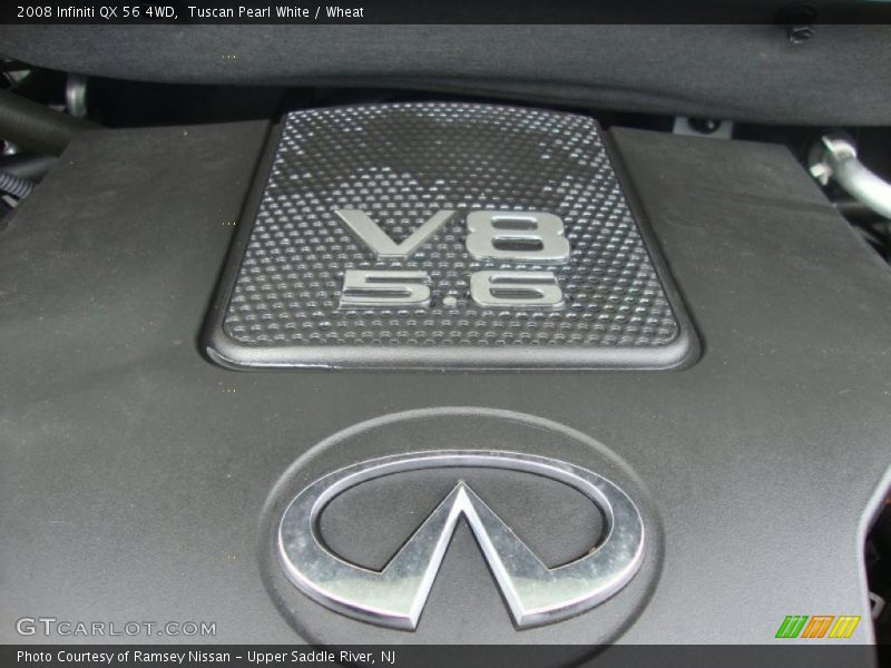 Tuscan Pearl White / Wheat 2008 Infiniti QX 56 4WD
