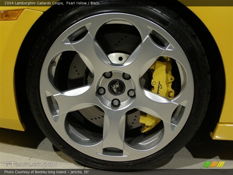 Pearl Yellow / Black 2004 Lamborghini Gallardo Coupe