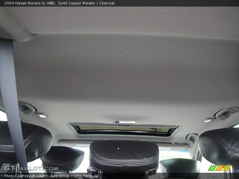 Sunlit Copper Metallic / Charcoal 2004 Nissan Murano SL AWD