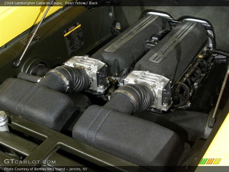 Pearl Yellow / Black 2004 Lamborghini Gallardo Coupe
