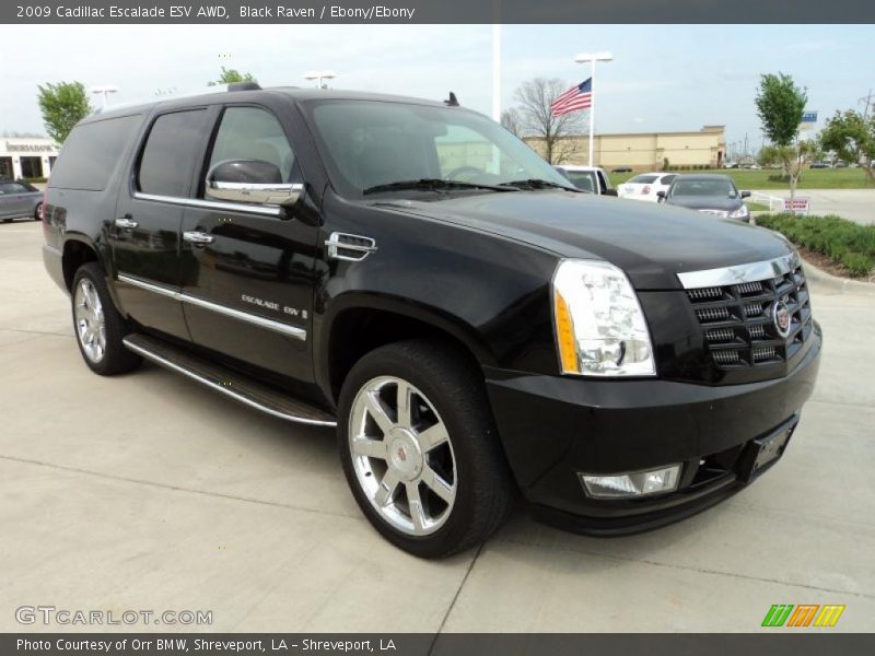 Black Raven / Ebony/Ebony 2009 Cadillac Escalade ESV AWD