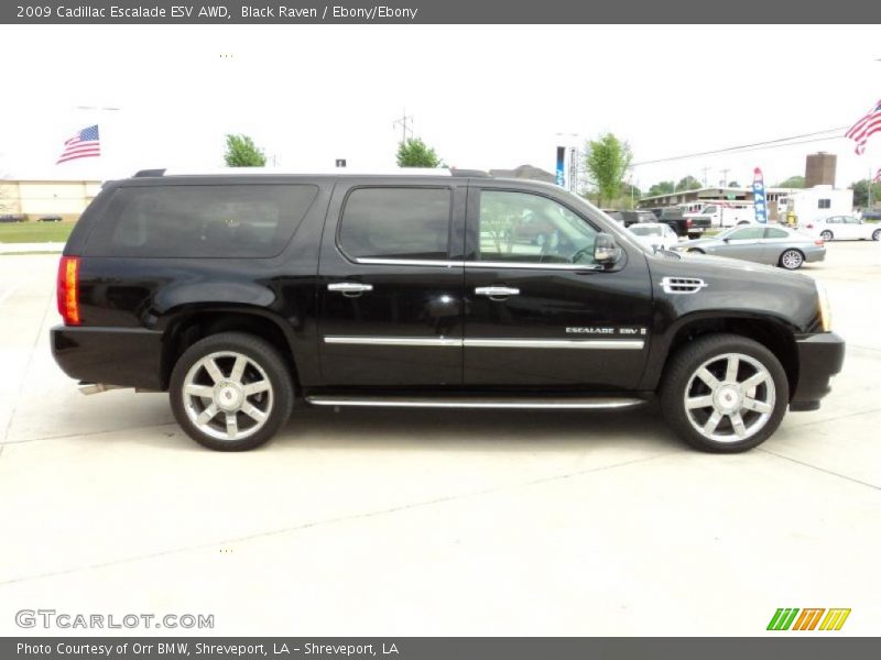 Black Raven / Ebony/Ebony 2009 Cadillac Escalade ESV AWD