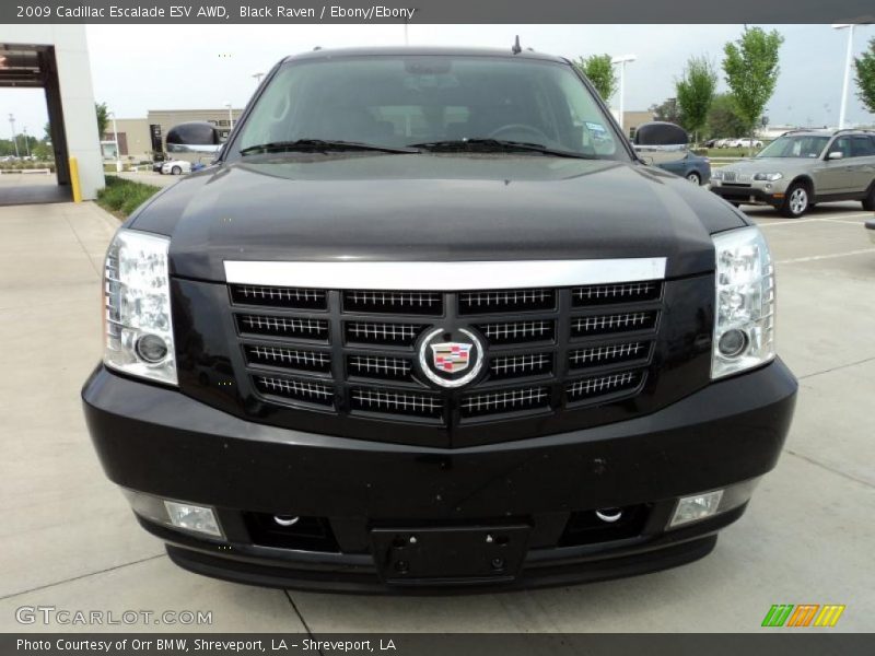 Black Raven / Ebony/Ebony 2009 Cadillac Escalade ESV AWD