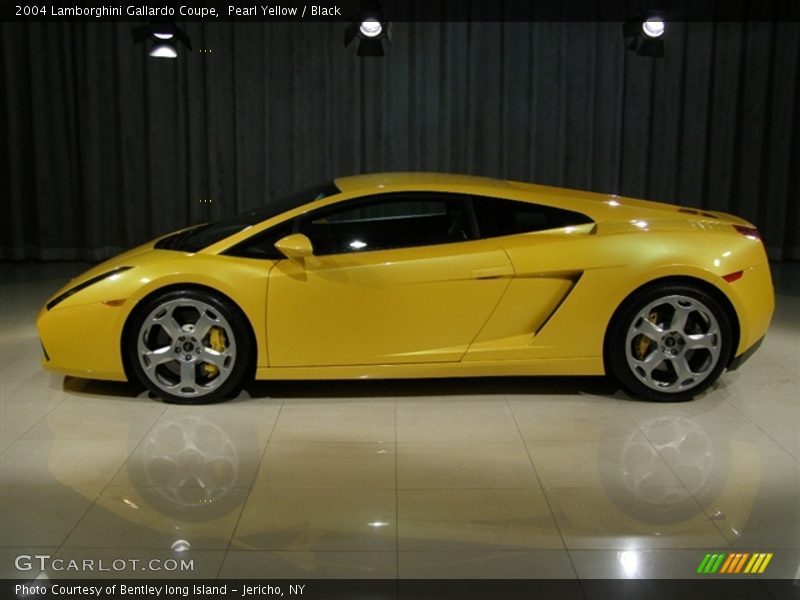Pearl Yellow / Black 2004 Lamborghini Gallardo Coupe