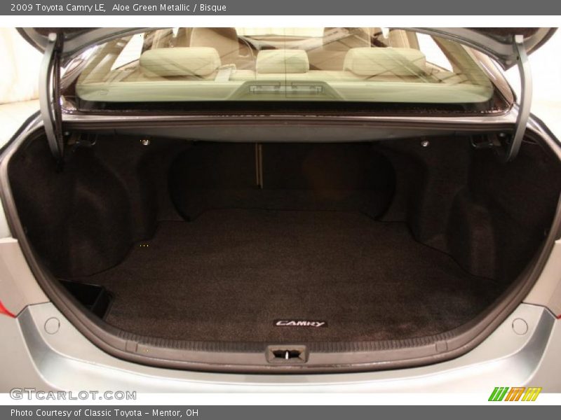 Aloe Green Metallic / Bisque 2009 Toyota Camry LE