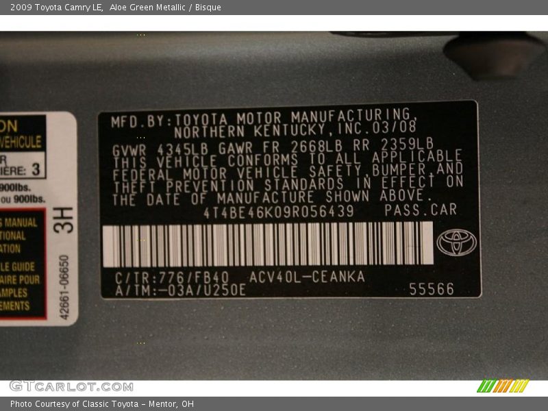 Aloe Green Metallic / Bisque 2009 Toyota Camry LE