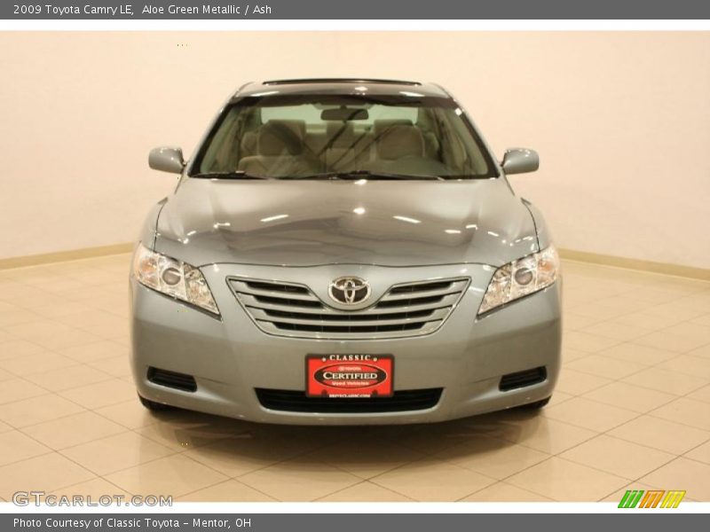 Aloe Green Metallic / Ash 2009 Toyota Camry LE