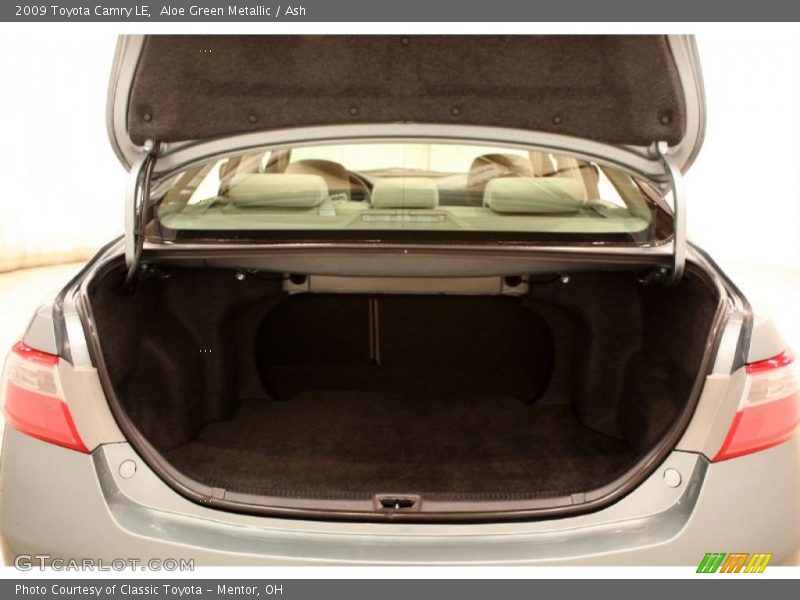 Aloe Green Metallic / Ash 2009 Toyota Camry LE