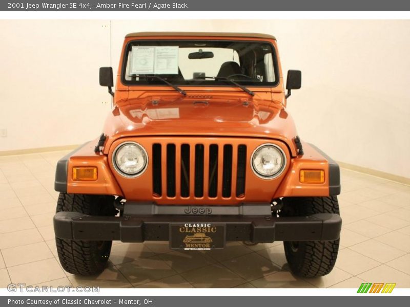 Amber Fire Pearl / Agate Black 2001 Jeep Wrangler SE 4x4