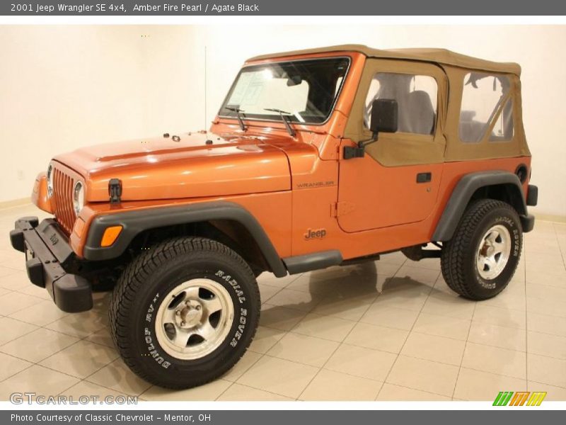  2001 Wrangler SE 4x4 Amber Fire Pearl