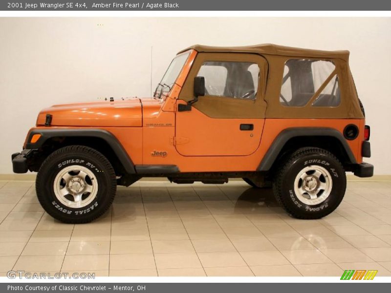 Amber Fire Pearl / Agate Black 2001 Jeep Wrangler SE 4x4