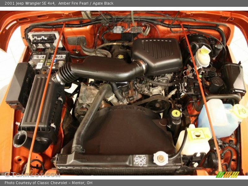 Amber Fire Pearl / Agate Black 2001 Jeep Wrangler SE 4x4