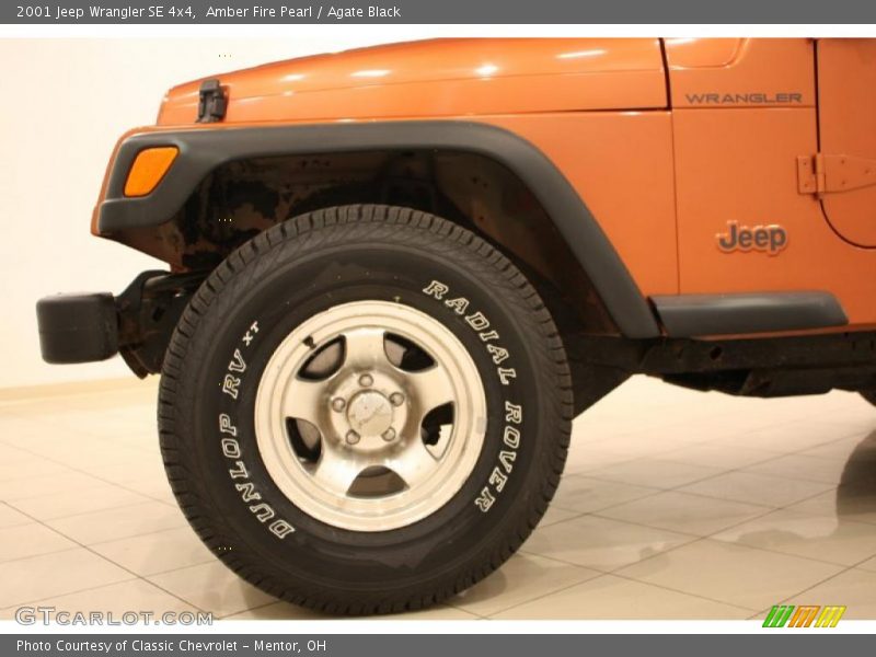 Amber Fire Pearl / Agate Black 2001 Jeep Wrangler SE 4x4