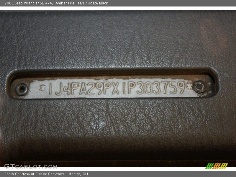 Amber Fire Pearl / Agate Black 2001 Jeep Wrangler SE 4x4