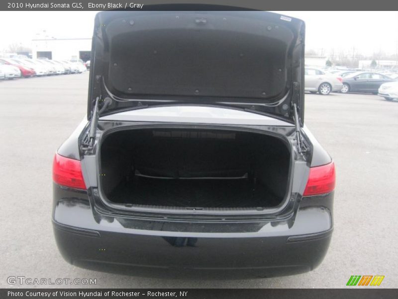 Ebony Black / Gray 2010 Hyundai Sonata GLS