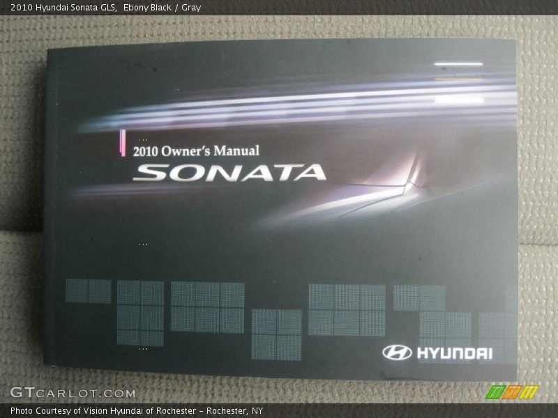Ebony Black / Gray 2010 Hyundai Sonata GLS