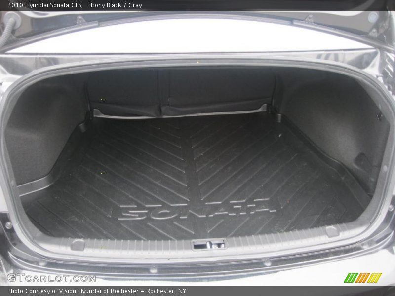 Ebony Black / Gray 2010 Hyundai Sonata GLS
