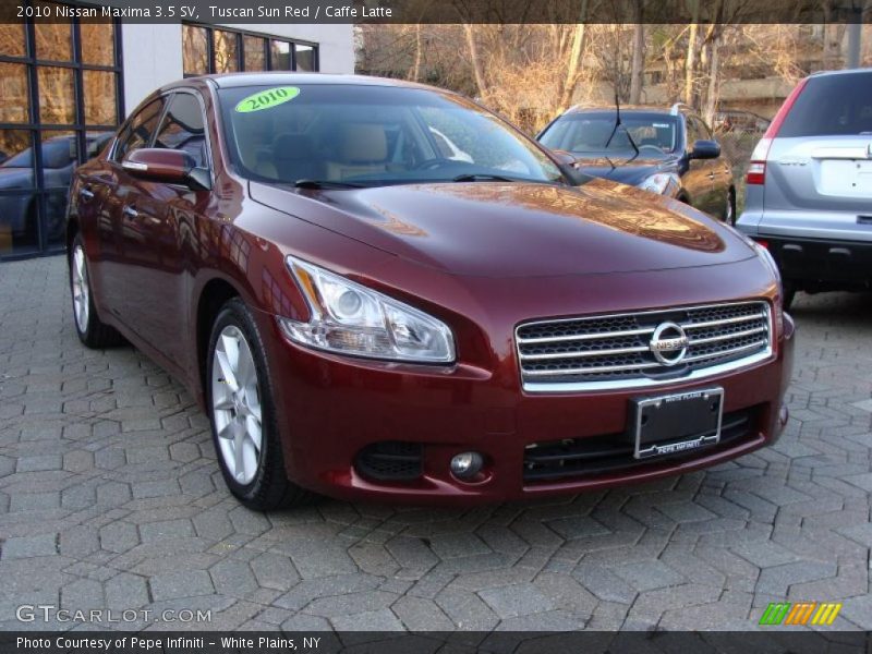 Tuscan Sun Red / Caffe Latte 2010 Nissan Maxima 3.5 SV
