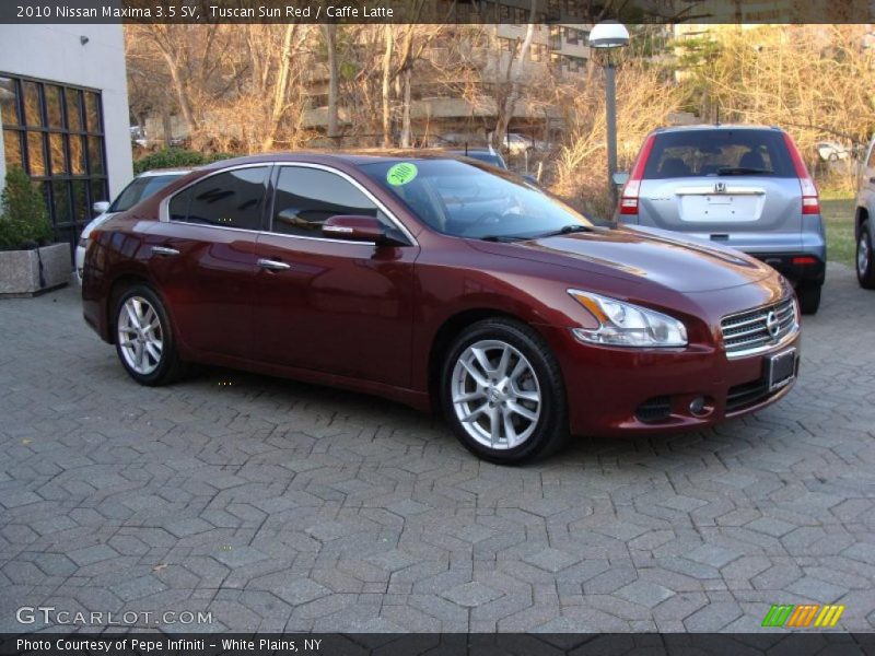 Tuscan Sun Red / Caffe Latte 2010 Nissan Maxima 3.5 SV