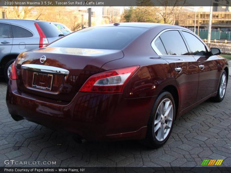 Tuscan Sun Red / Caffe Latte 2010 Nissan Maxima 3.5 SV