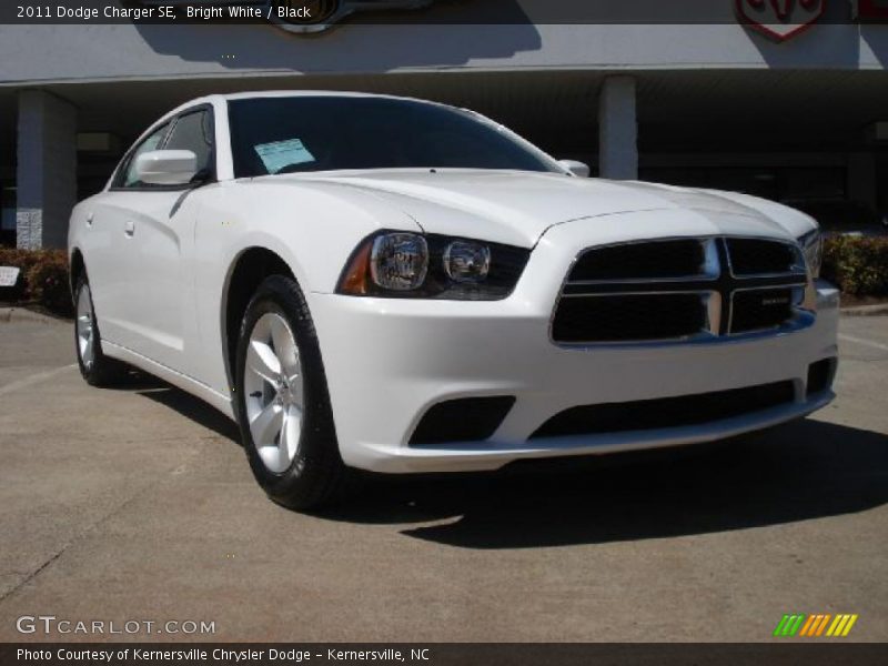 Bright White / Black 2011 Dodge Charger SE