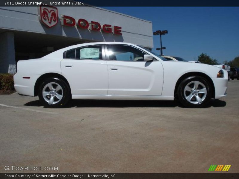 Bright White / Black 2011 Dodge Charger SE