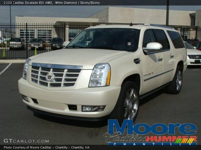 White Diamond / Ebony/Ebony 2009 Cadillac Escalade ESV AWD