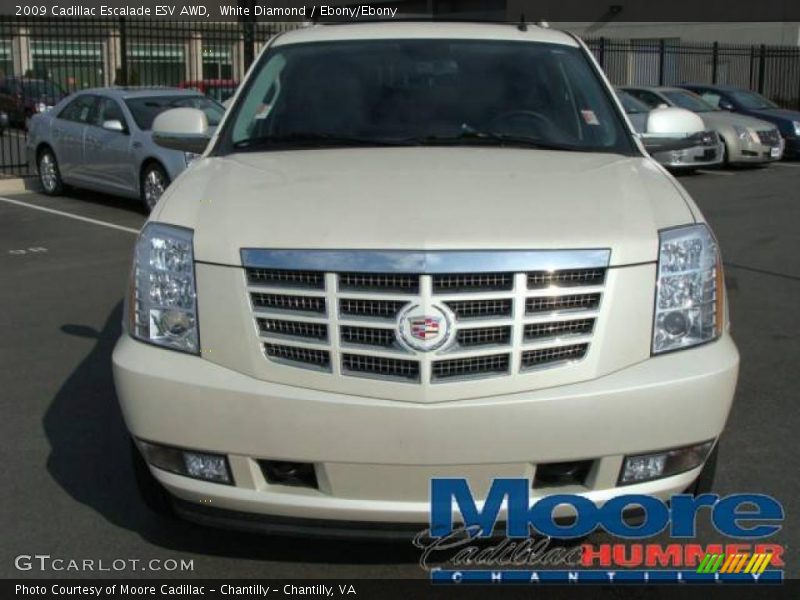 White Diamond / Ebony/Ebony 2009 Cadillac Escalade ESV AWD