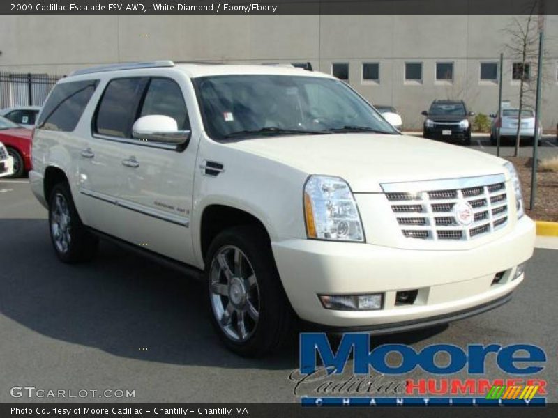 White Diamond / Ebony/Ebony 2009 Cadillac Escalade ESV AWD