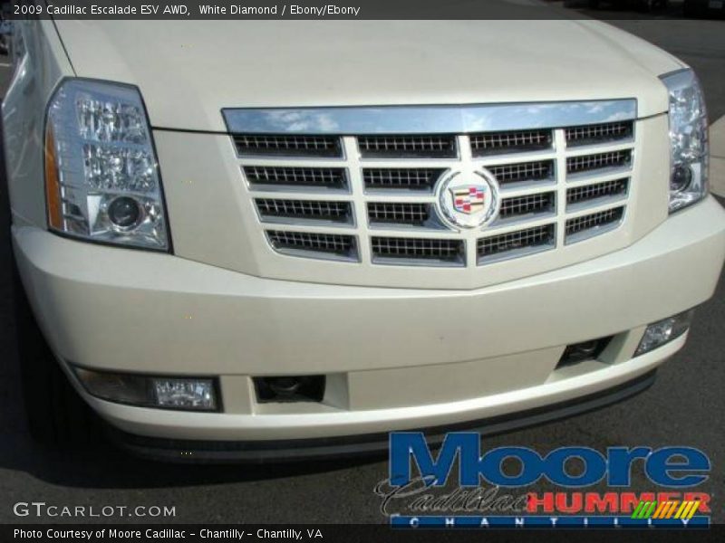 White Diamond / Ebony/Ebony 2009 Cadillac Escalade ESV AWD