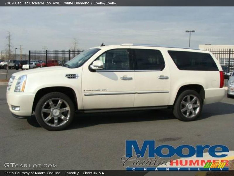 White Diamond / Ebony/Ebony 2009 Cadillac Escalade ESV AWD