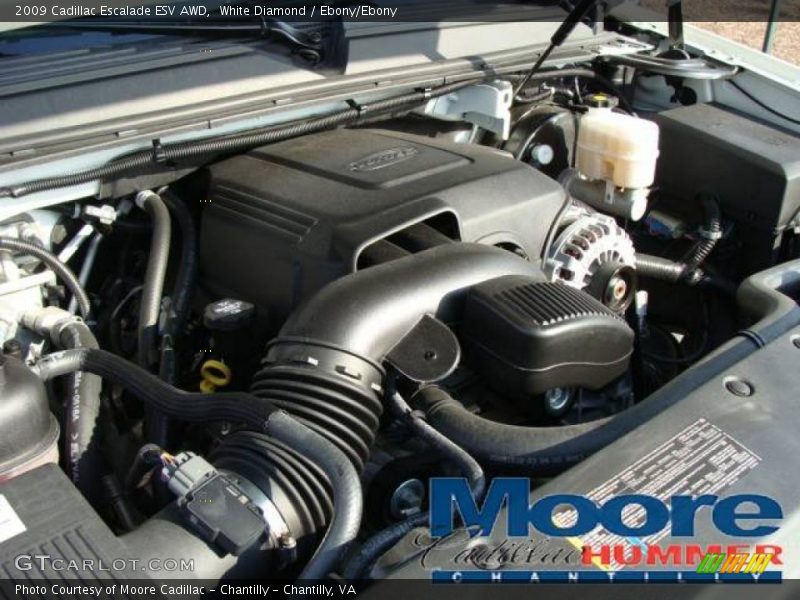 White Diamond / Ebony/Ebony 2009 Cadillac Escalade ESV AWD