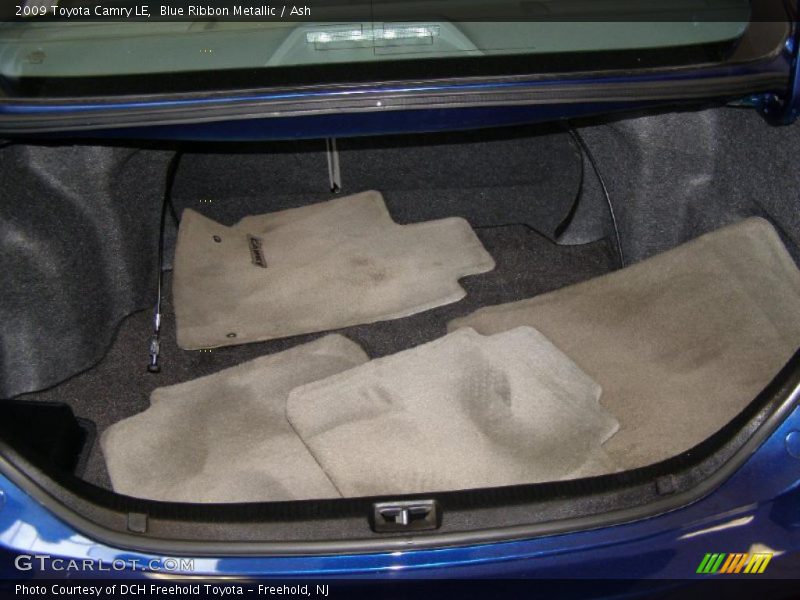 Blue Ribbon Metallic / Ash 2009 Toyota Camry LE