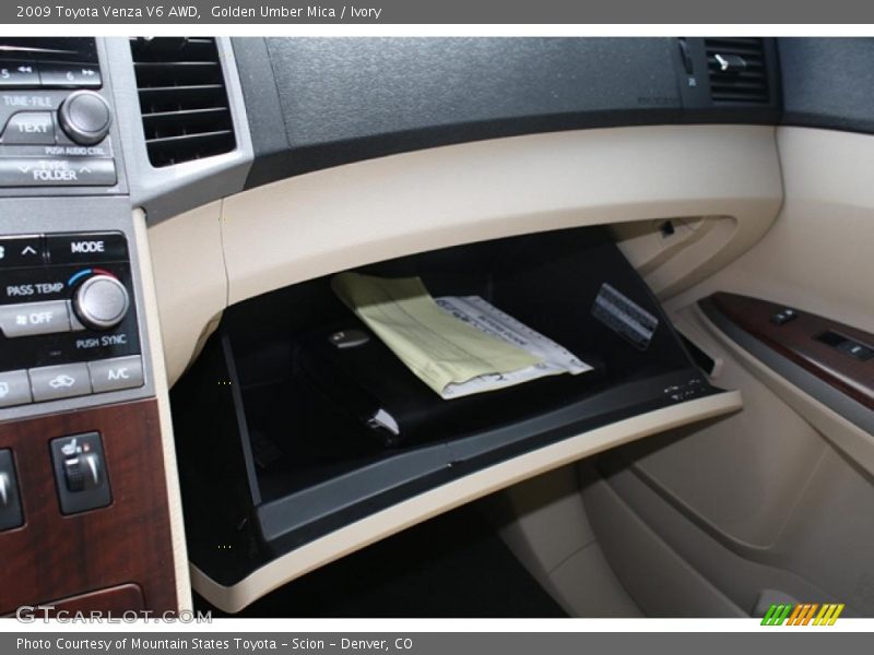 Golden Umber Mica / Ivory 2009 Toyota Venza V6 AWD