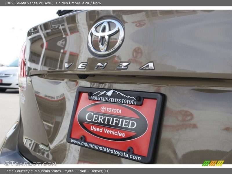 Golden Umber Mica / Ivory 2009 Toyota Venza V6 AWD