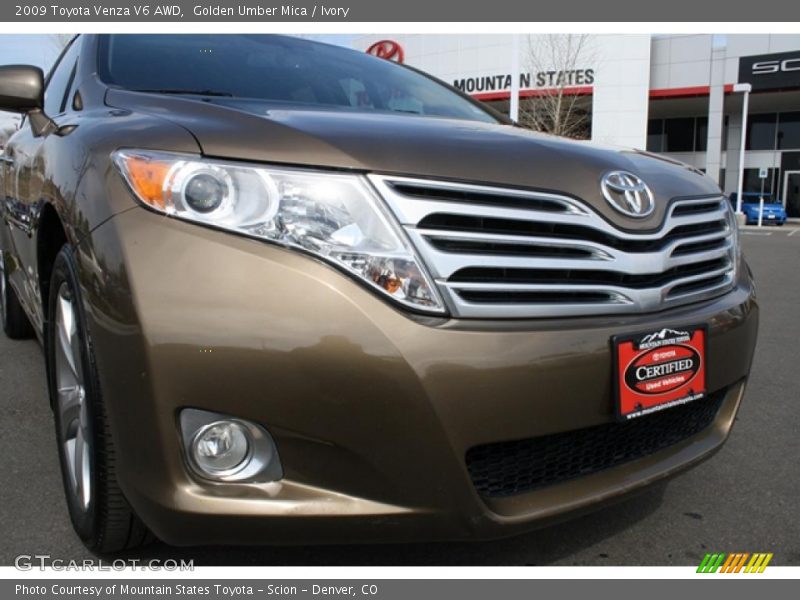 Golden Umber Mica / Ivory 2009 Toyota Venza V6 AWD