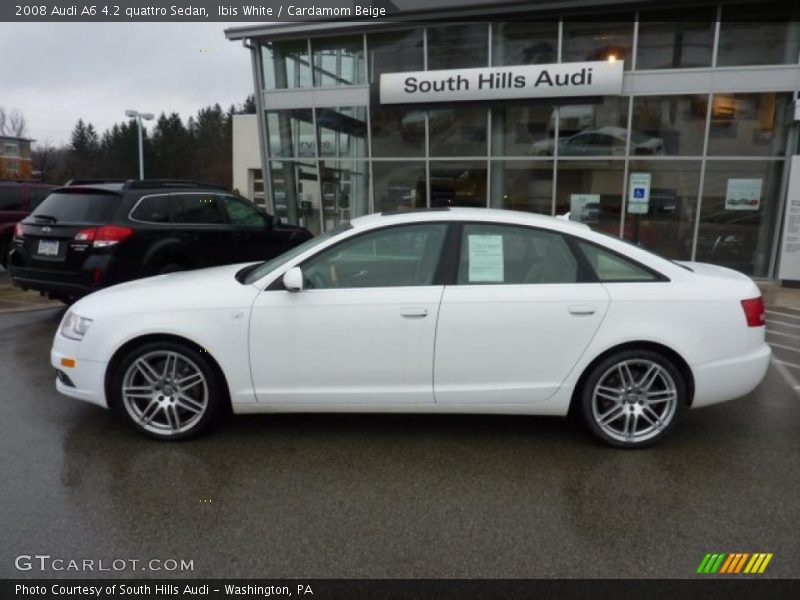 Ibis White / Cardamom Beige 2008 Audi A6 4.2 quattro Sedan