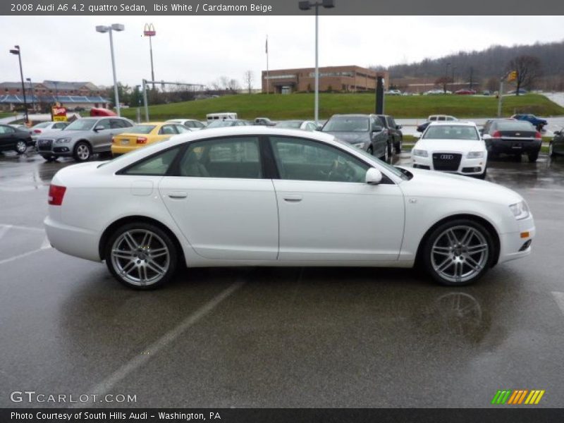 Ibis White / Cardamom Beige 2008 Audi A6 4.2 quattro Sedan