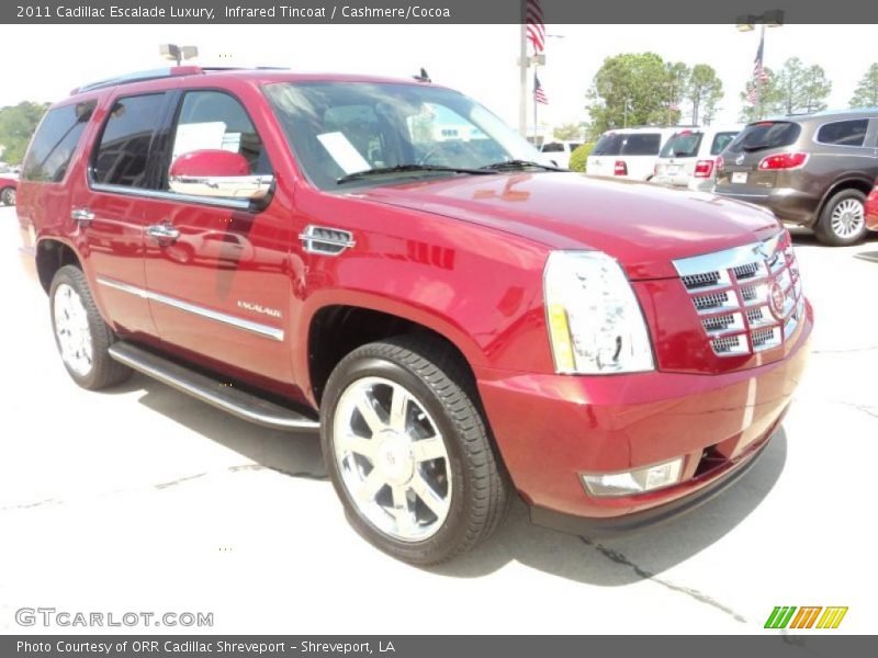 Infrared Tincoat / Cashmere/Cocoa 2011 Cadillac Escalade Luxury
