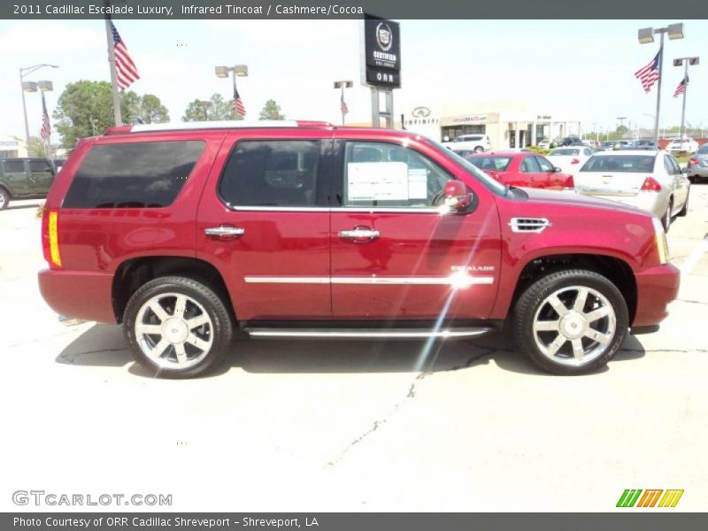 Infrared Tincoat / Cashmere/Cocoa 2011 Cadillac Escalade Luxury