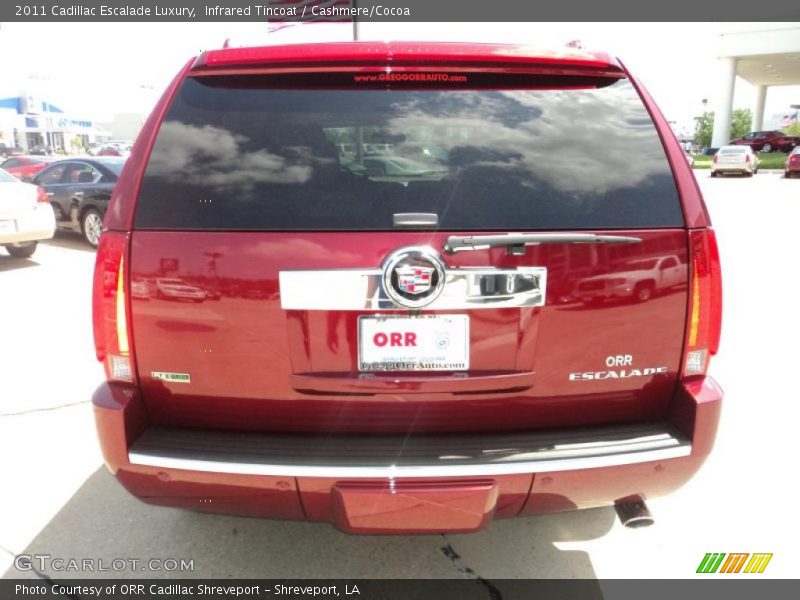 Infrared Tincoat / Cashmere/Cocoa 2011 Cadillac Escalade Luxury